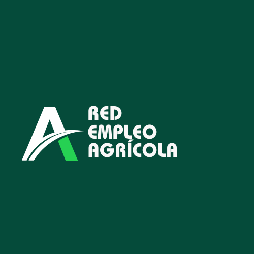 RED EMPLEO (1)